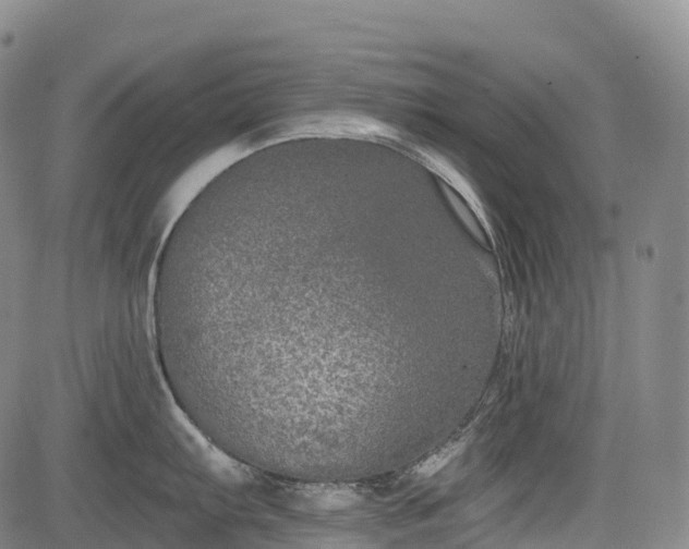 X0000085041103200703121427