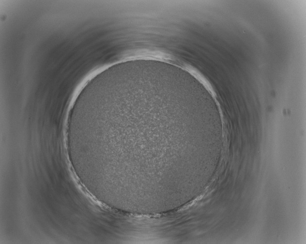 X0000085041104200703121427