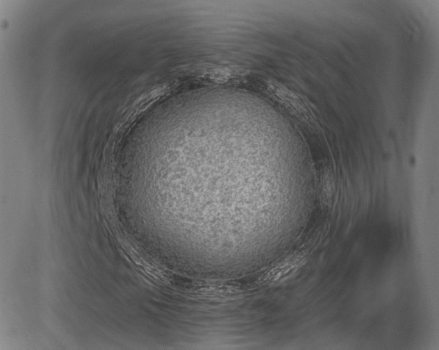 X0000085041105200703121426