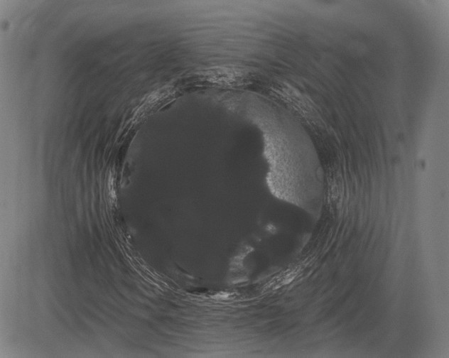 X0000085041106200703121426