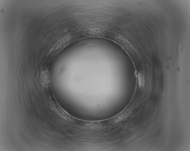 X0000085041107200703121426