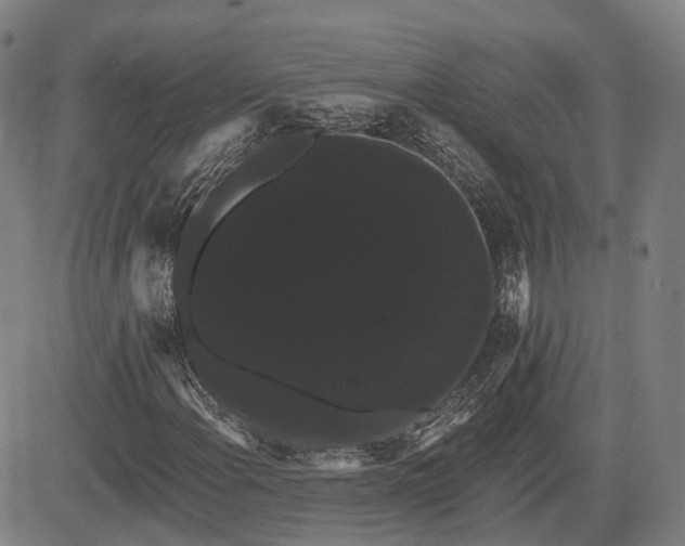 X0000085041108200703121426