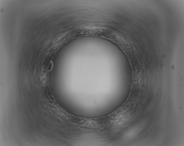 X0000085041109200703121426