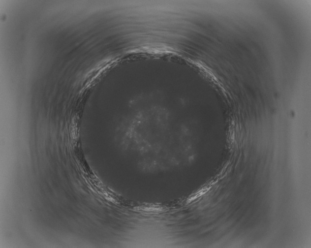 X0000085041110200703121426