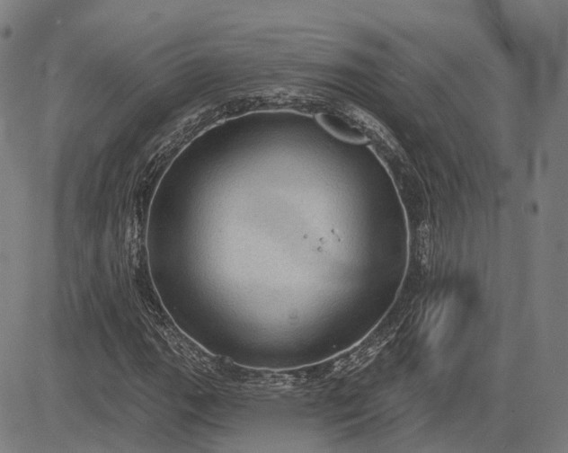 X0000085041111200703121426