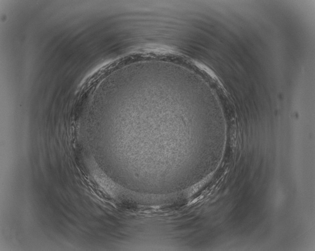 X0000085041112200703121426