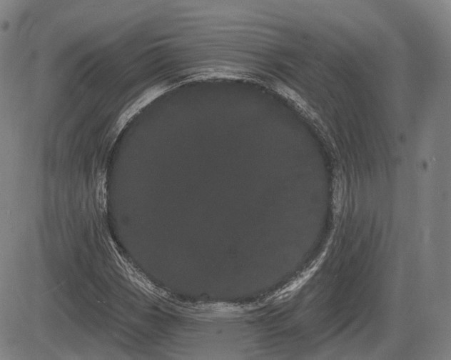 X0000085041113200703121426