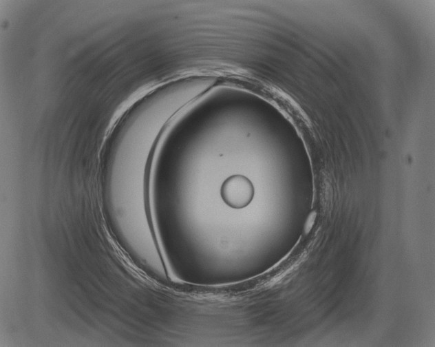 X0000085041114200703121426