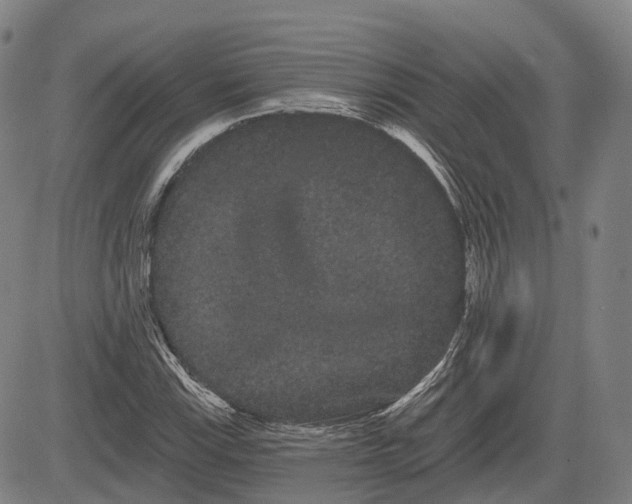 X0000085041115200703121426