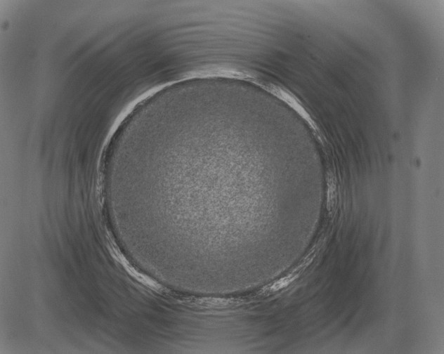 X0000085041116200703121426