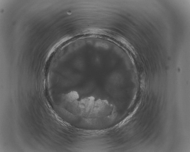 X0000085041117200703121426