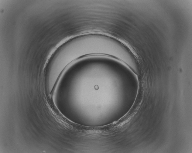 X0000085041118200703121426