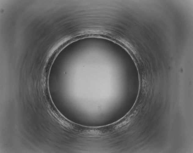 X0000085041119200703121426