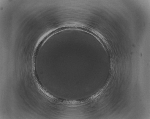 X0000085041120200703121426