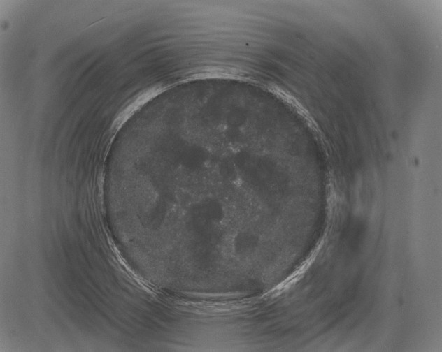 X0000085041121200703121426