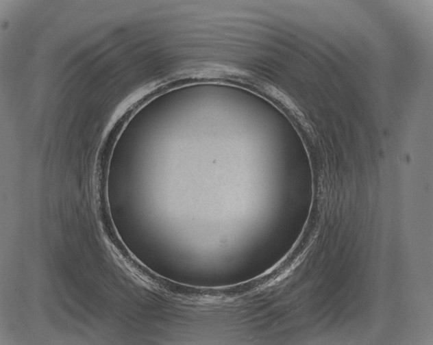 X0000085041122200703121426