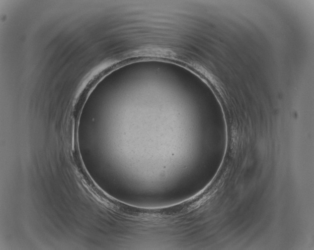 X0000085041123200703121426