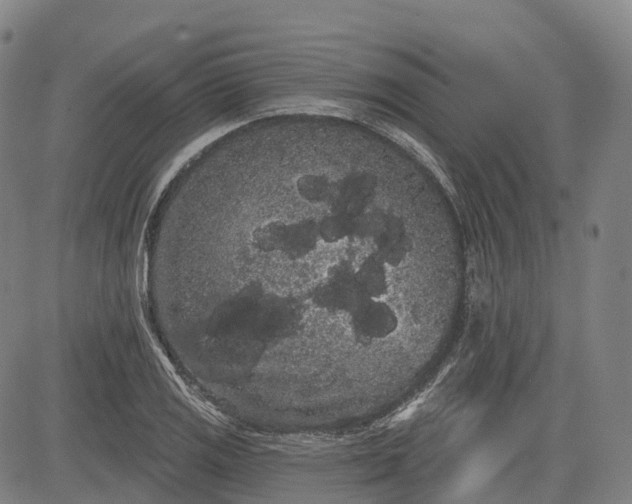 X0000085041125200703121426