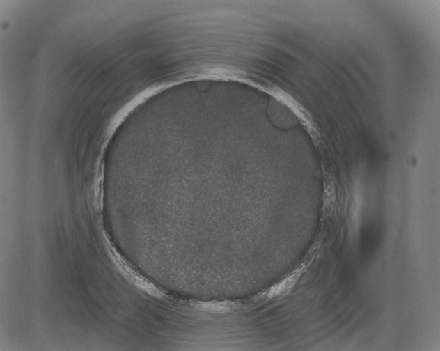 X0000085041126200703121426