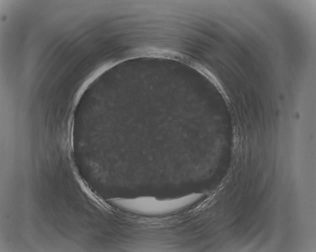 X0000085041128200703121426