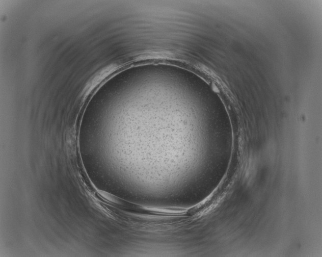 X0000085041129200703121426