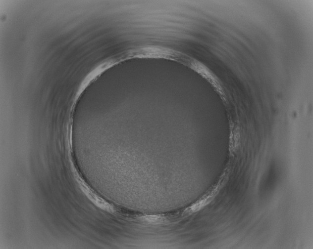 X0000085041130200703121427