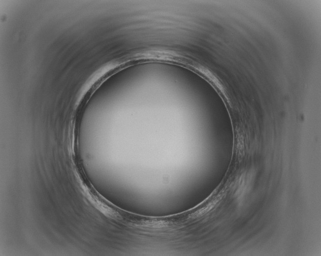 X0000085041131200703121427