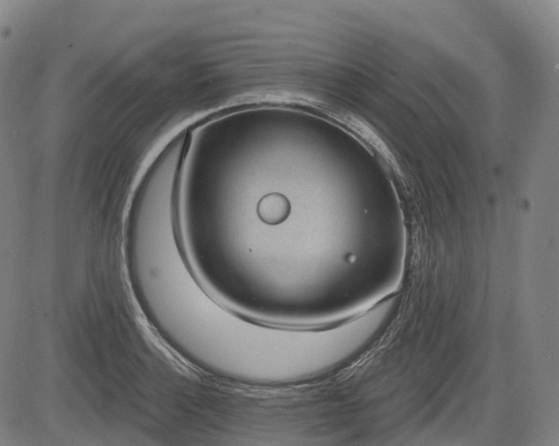 X0000085041132200703121427