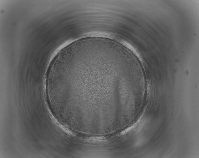 X0000085041133200703121427