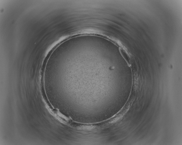 X0000085041134200703121427