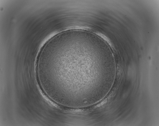 X0000085041135200703121427