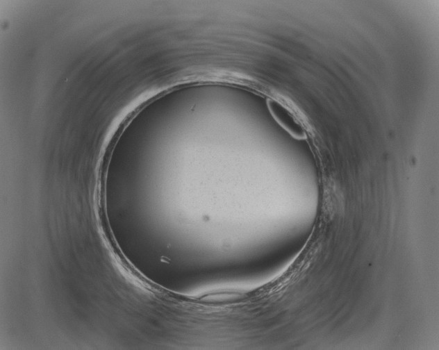 X0000085041136200703121427