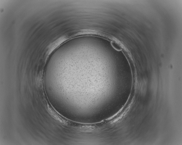 X0000085041137200703121427