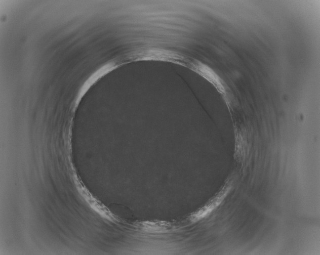 X0000085041138200703121427