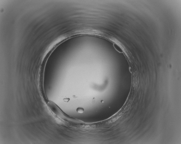 X0000085041139200703121427