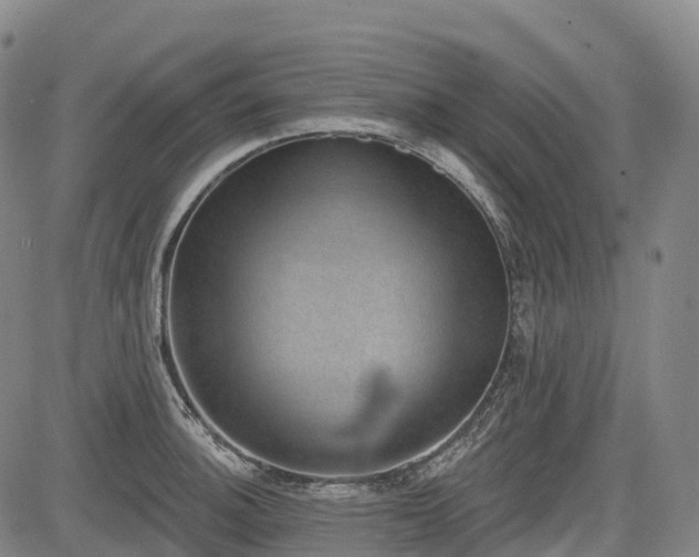 X0000085041140200703121427