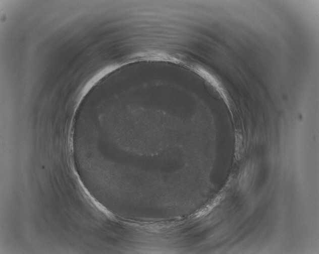 X0000085041141200703121427