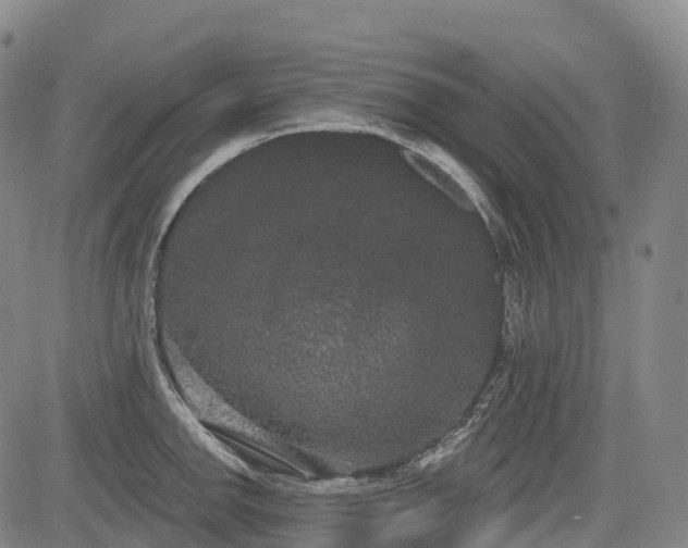 X0000085041142200703121427