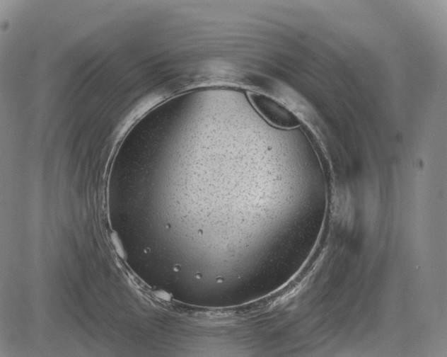 X0000085041145200703121427