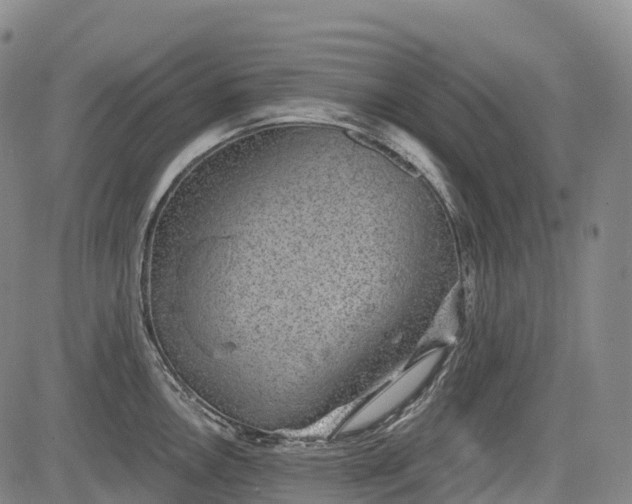 X0000085041146200703121427