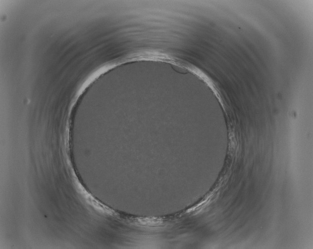 X0000085041147200703121427