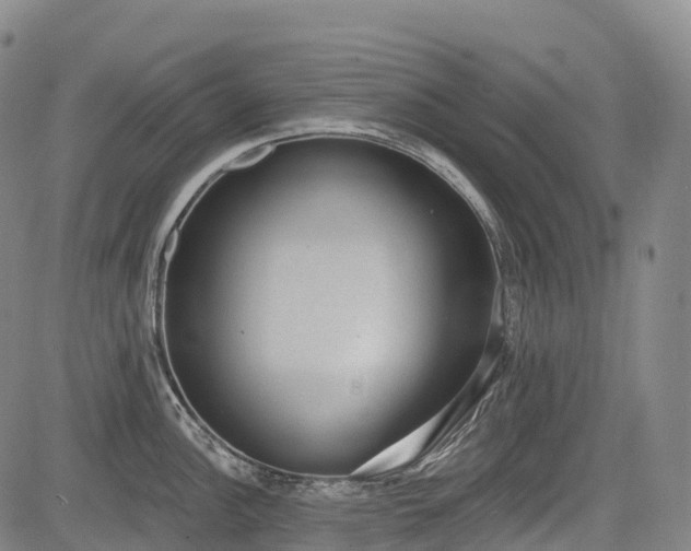 X0000085041148200703121427