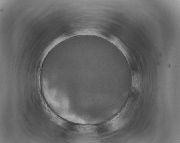 X0000085041150200703121427