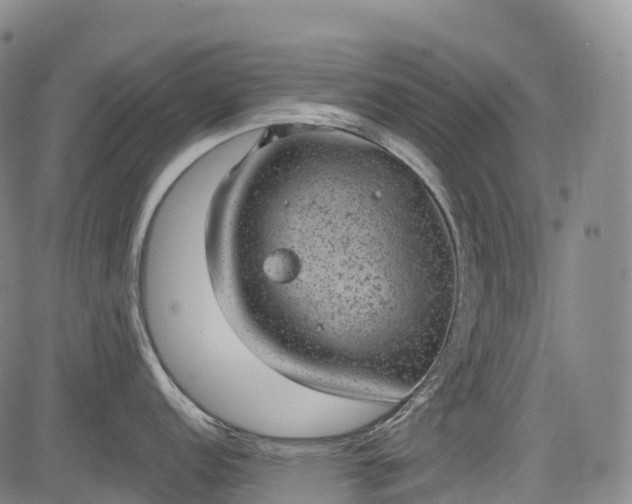 X0000085041152200703121427