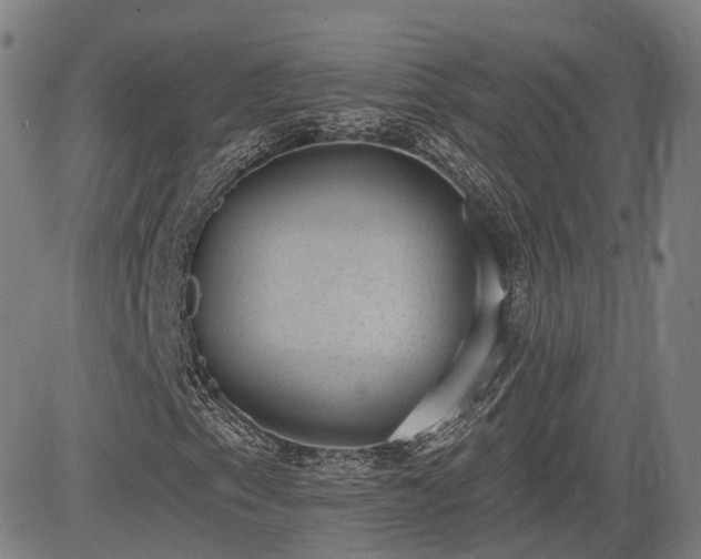 X0000085041153200703121426