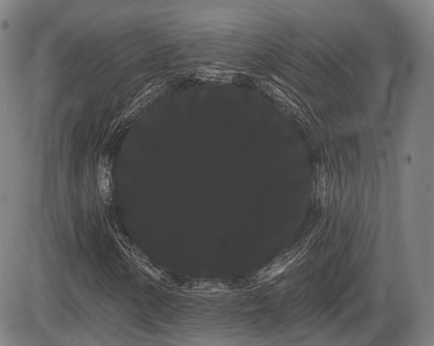 X0000085041154200703121426