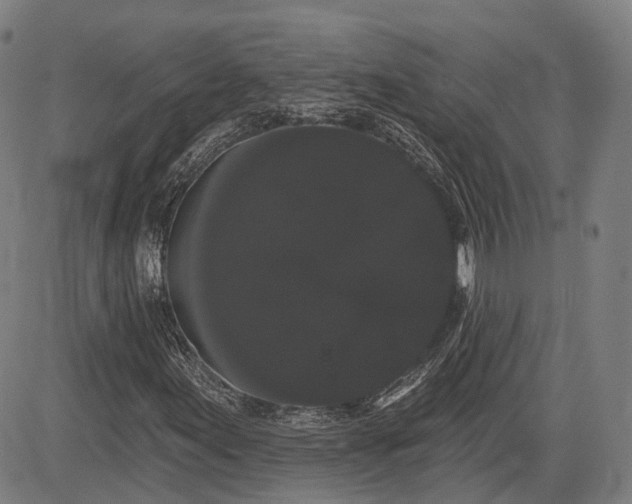 X0000085041155200703121426