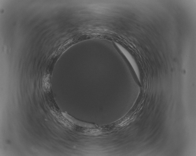 X0000085041156200703121426