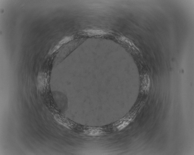 X0000085041157200703121426