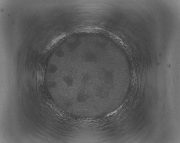 X0000085041158200703121426